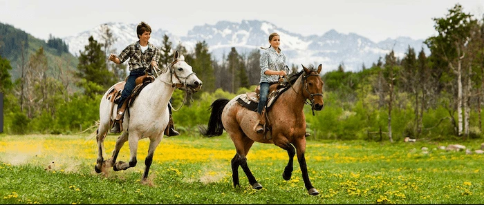 Confident plus-size woman riding Dorking a horse through a field with a smile on her face.